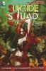 SUICIDE SQUAD VOL 01 KICKED IN THE TEETH TP [9781401235444]